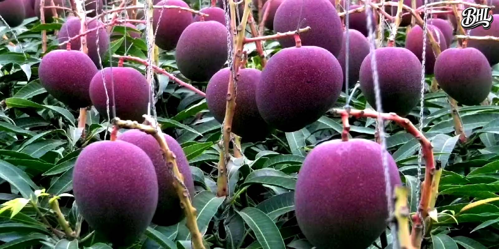 The Future of Sustainable Living: Driving Eco-Friendly Lifestyles