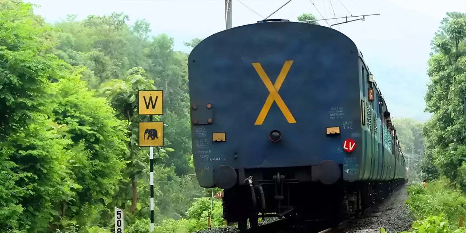 The Future of Sustainable Living: Driving Eco-Friendly Lifestyles