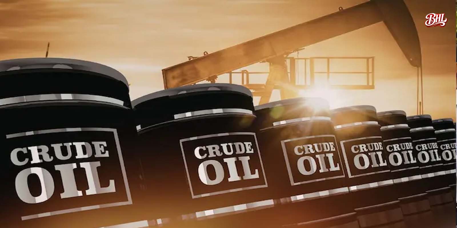 The Future of Sustainable Living: Driving Eco-Friendly Lifestyles