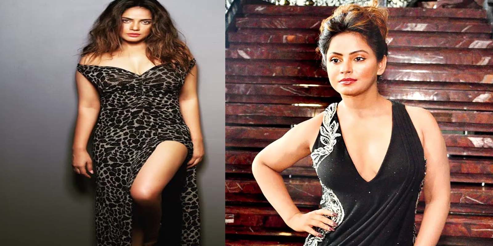 मैंने ब्रेक नहीं लियां- नीतू चंद्रा