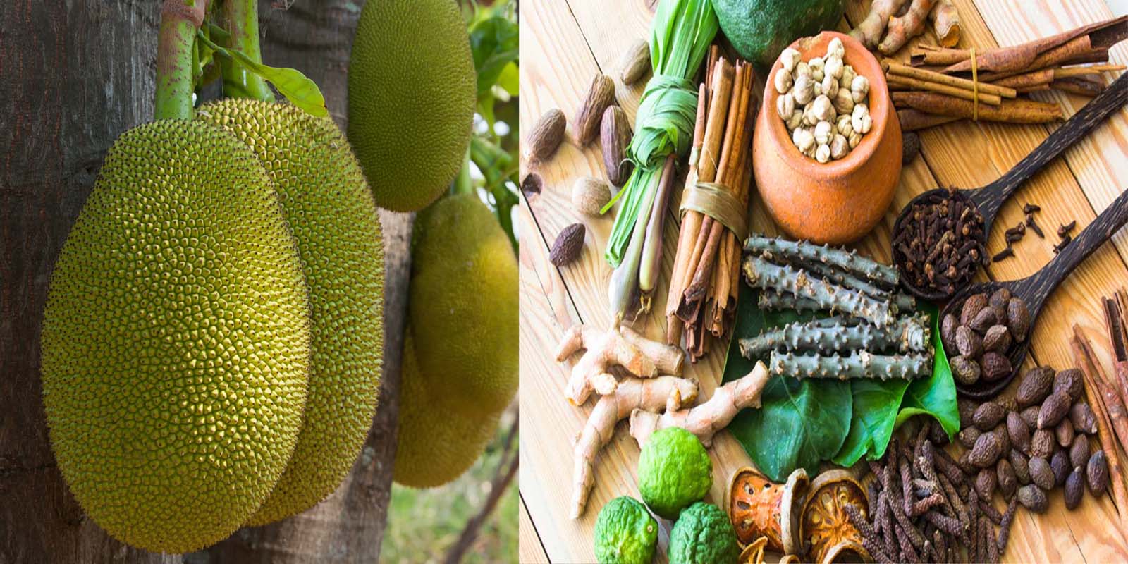 The Future of Sustainable Living: Driving Eco-Friendly Lifestyles