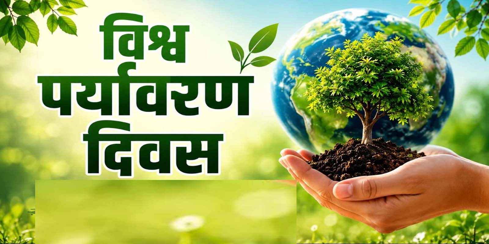 The Future of Sustainable Living: Driving Eco-Friendly Lifestyles