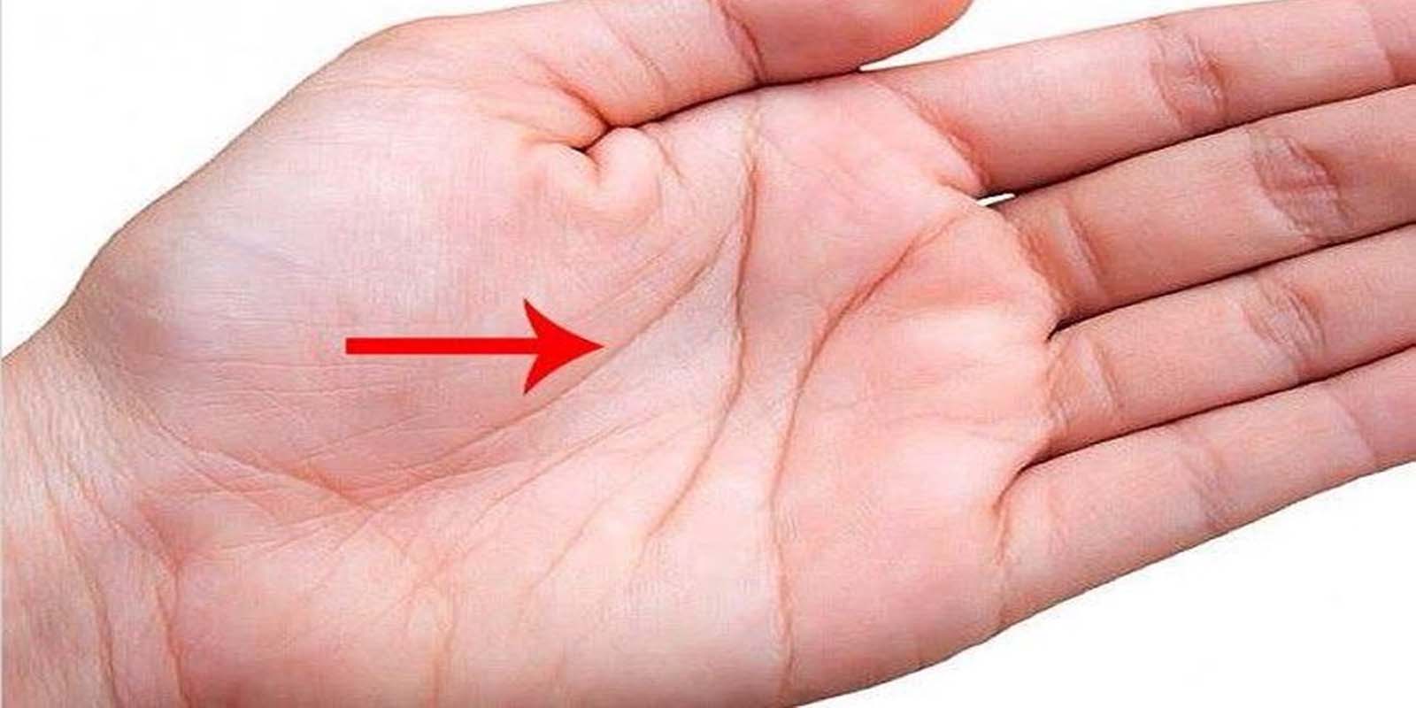 हथेली से भी पता चलता है कैसा होगा जीवन