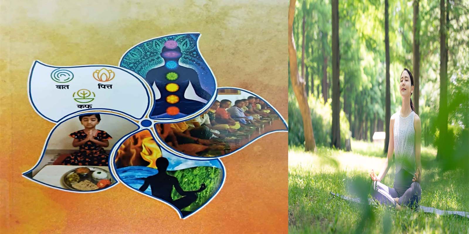 The Future of Sustainable Living: Driving Eco-Friendly Lifestyles