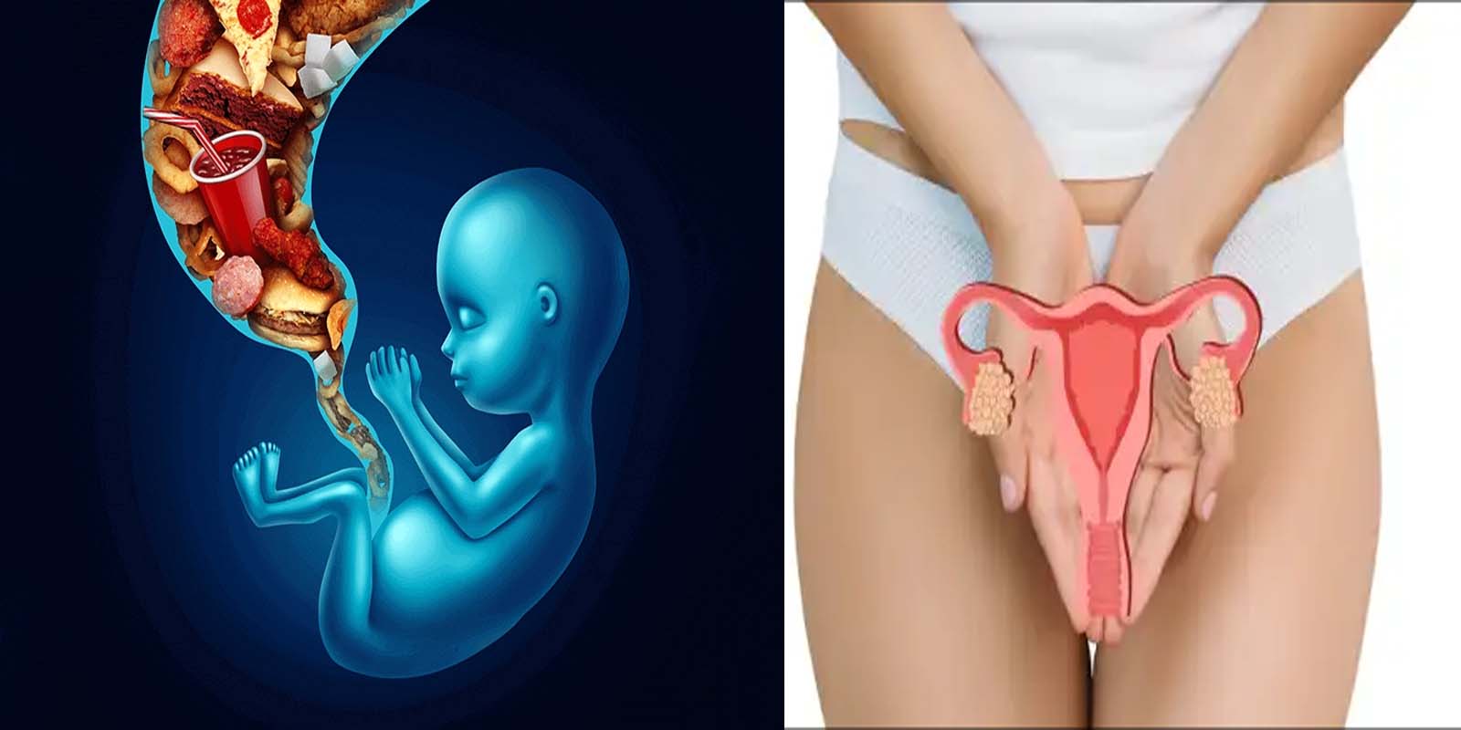 गर्भाशय में परेशानी से प्रभावित होती है रोग प्रतिरोधक क्षमता