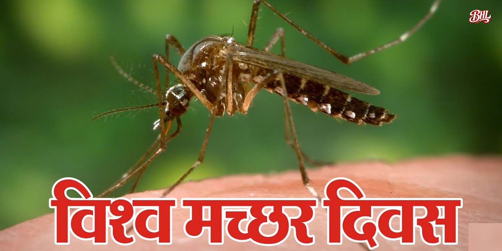 मच्छर जानलेवा है