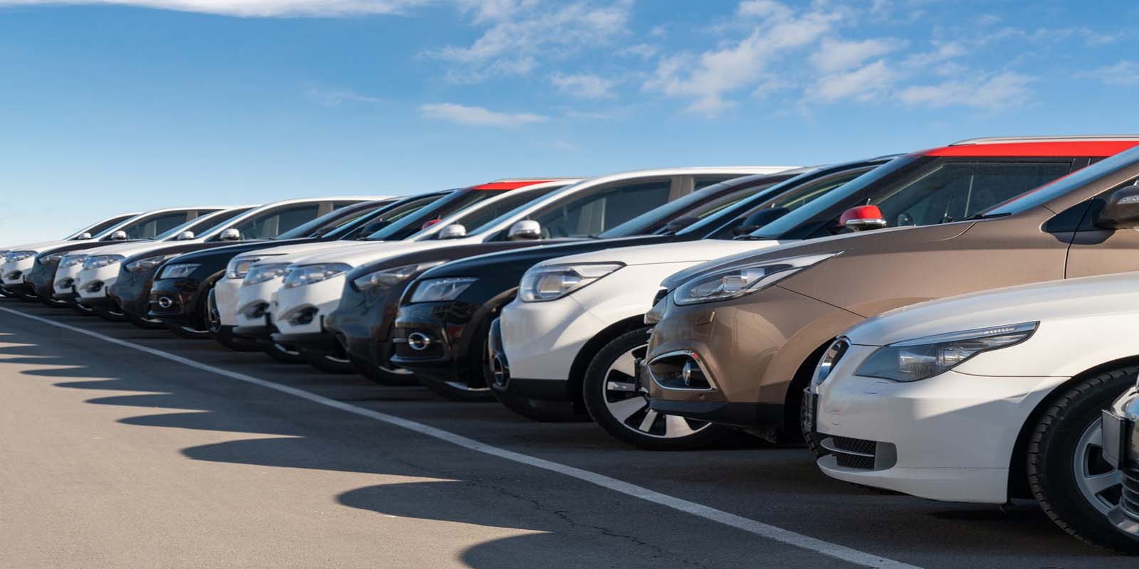 The Future of Sustainable Living: Driving Eco-Friendly Lifestyles