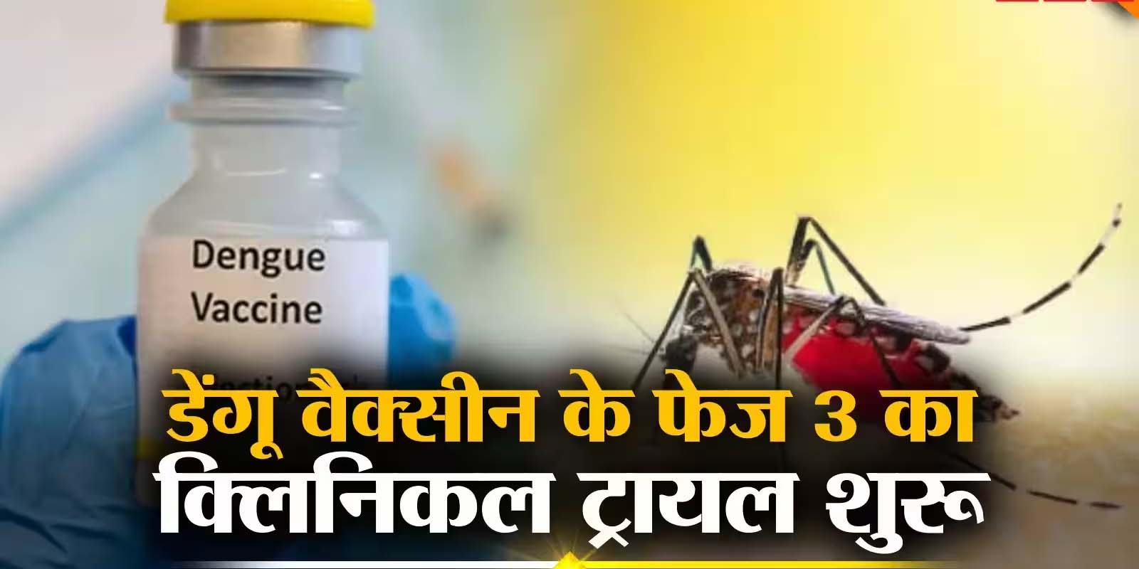 भारत में डेंगू वैक्सीन की दस्तकर- बीमारी के खिलाफ नई उम्मीद